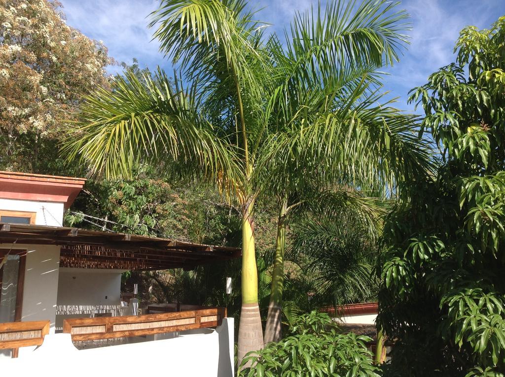 Casa Flor De Mar Hotel Zipolite Luaran gambar